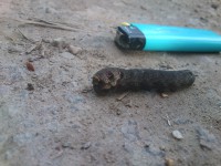 /album/mistersvensson/dsc-0083-jpg/