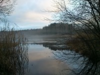 /album/mistersvensson/dsc-0209-jpg/